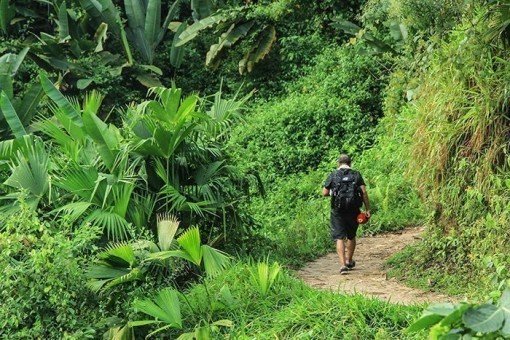 Prachtige wandeltocht door de jungle
