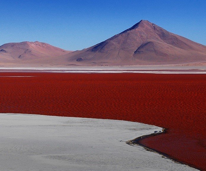 Hoogland hoogtepunten van Bolivia & Chili